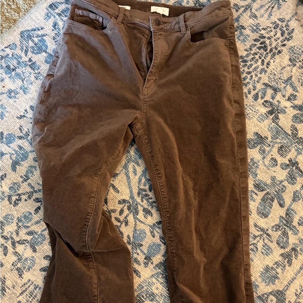 Soft velvety High Rise Jeans in Rich Brown